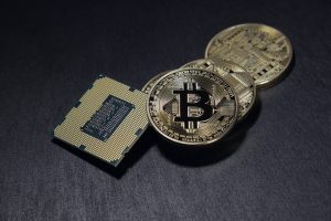 Navigeren door de wereld van de Cryptokoers: Inzichten en updates